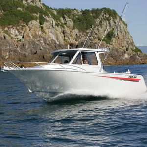 cabin-cruiser hors-bord
