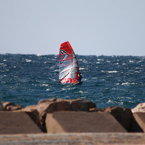 voile de planche de race