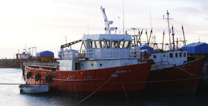 bateau professionnel bateau de service offshore