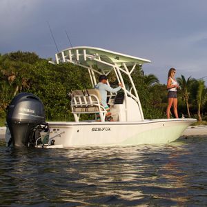 bay boat hors-bord 1