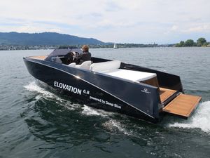 runabout in-bord