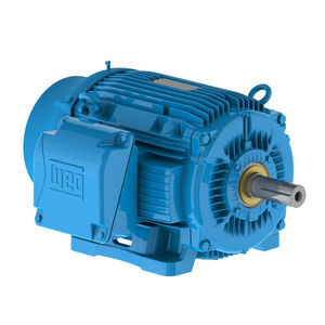 moteur in-bord
