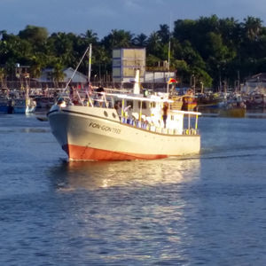 bateau de pêche professionnelle 1