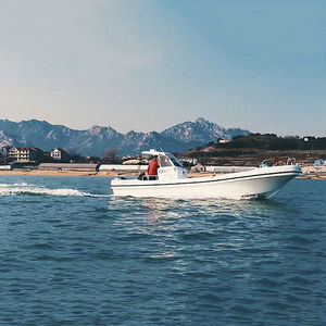 bateau de pêche professionnelle
