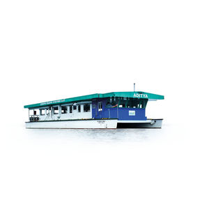 bateau professionnel bateau à passagers / catamaran / solaire électrique / zéro émission