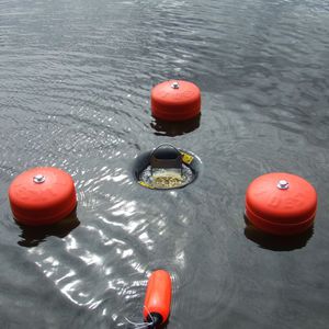 écrémeur d'hydrocarbures à bande