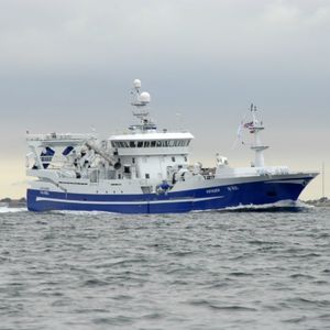 navire de pêche professionnelle chalutier 1