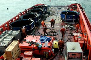 réservoir d'hydrocarbure / de stockage temporaire / avec cadre