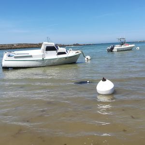 bouée de mouillage