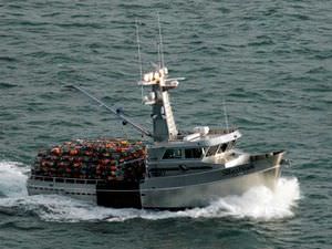 bateau de pêche professionnelle 1
