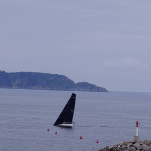 voilier de course