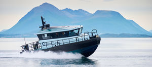 bateau de travail