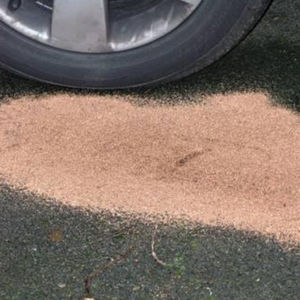 produit chimique anti-pollution par les hydrocarbures