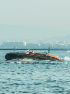 runabout in-bord