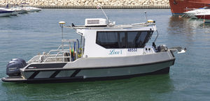 bateau d'étude hydrographique / hors-bord / transportable