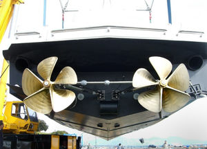 surface drive pour bateau 1