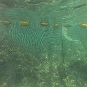 barrage filet