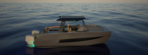 vedette catamaran