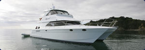 vedette catamaran