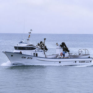 navire de pêche professionnelle thonier senneur 1