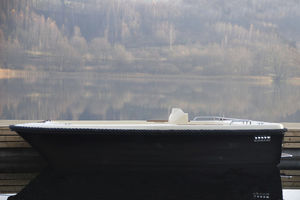 runabout in-bord