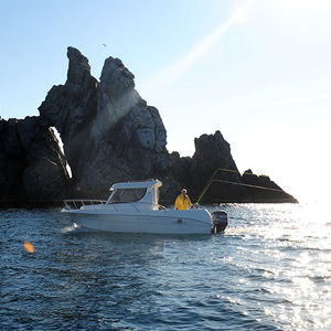 cabin-cruiser hors-bord / avec timonerie / de pêche / max. 8 personnes