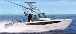 vedette catamaran