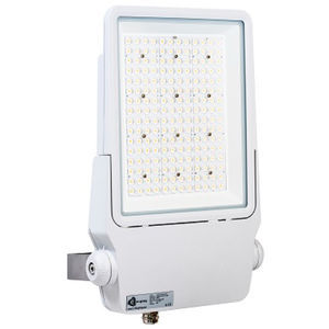 projecteur de pont 1
