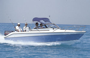 bateau de pêche-promenade hors-bord