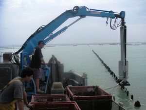 grue pour navire