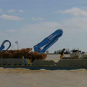 grue pour navire 1