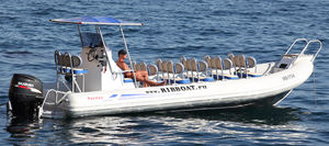 bateau pneumatique hors-bord / bimoteur / RIB / à console centrale