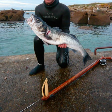 Arbalète de chasse sous-marine en teck - X - Teak Sea