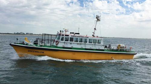 Bateau de transport de personnel - ZEEZWALUW - SIMA SHIPSALES BV - bateau pilote / in-bord