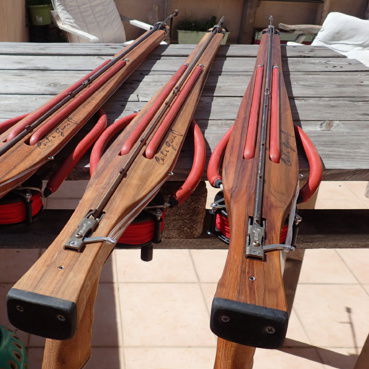 Arbalète de chasse sous-marine en bois - ROLLER EPEORE LASER - Carl's Guns