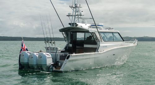 Vedette hors-bord - 1050  - White Pointer Boats Ltd - trimoteur / hard-top / à fly fermé