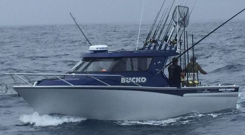 Bateau de pêche professionnelle - 870  - White Pointer Boats Ltd - in-bord