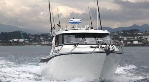 Bateau de pêche professionnelle - 970  - White Pointer Boats Ltd - in-bord