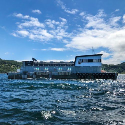 Navire spécial barge - Nova Concrete 600 - scaleaq - feeder