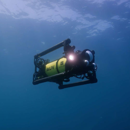 ROV d'inspection - Boxfish  - Boxfish Research