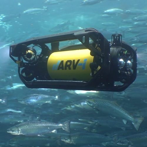 ROV d'inspection - ARV-i - Boxfish Research