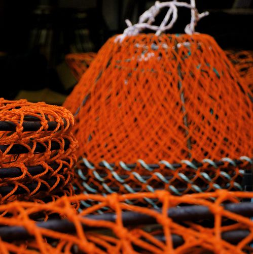 Casier pour crabe - Vónin - pour bulot
