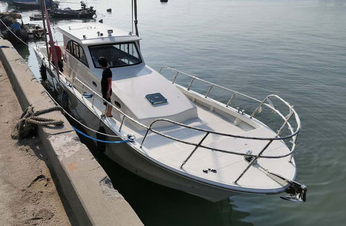 Vedette hors-bord - PRO 46 - PANGA FERRET - bimoteur / hard-top / de pêche sportive