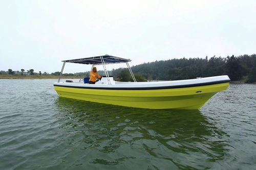 Bateau à passagers - PANGA FERRET - bateau de support pour la plongée / bateau de pêche professionnelle / hors-bord