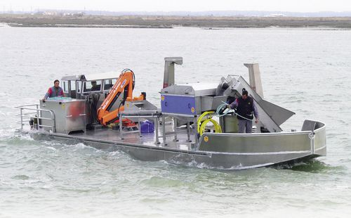 Bateau de travail - Mytilicole - Mulot Naval - hors-bord / en aluminium / Bureau Veritas