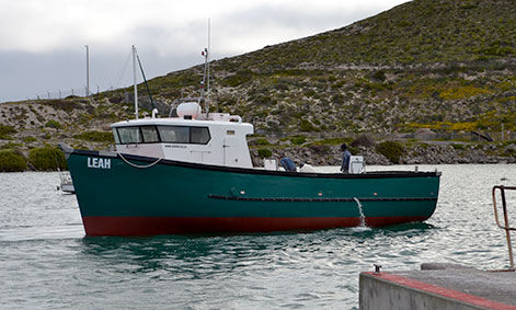 Bateau de surveillance - LEAH - Sachal Shipyard - bateau de travail / bateau de service offshore / bateau antipollution