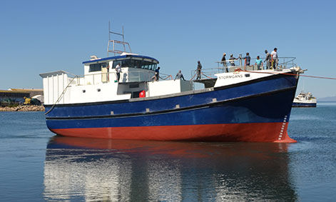 Chalutier - STORMGANS - Sachal Shipyard