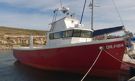 Trawler avec timonerie - DR FISH - Sachal Shipyard