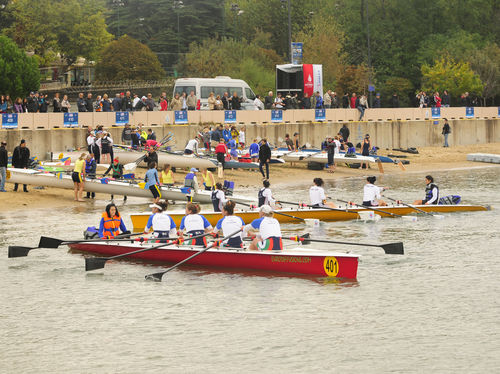 Bateau d'aviron de loisir - Y 35 club  - Rowing Sport  boats - quatre de couple / avec barreur