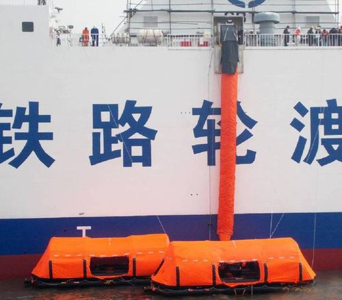 Système d'évacuation maritime pour navire - LMES-D series - Zhenjiang Longyear Marine Equipment Co.,Ltd